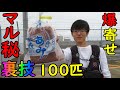 サビキ釣りにてアミエビで魚を爆寄せするマル秘テクを大公開(茨城県日立港)