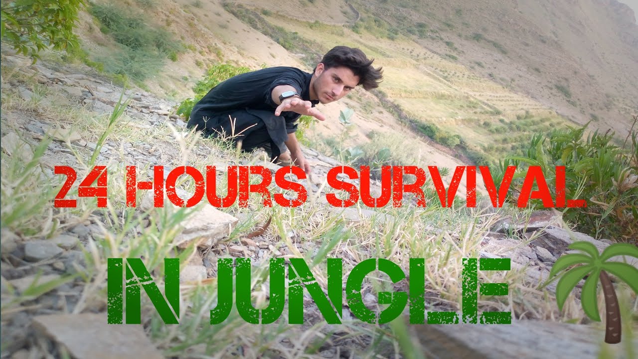 24 hours jungle survival challenge 😱/survival no food no water 🌴 - YouTube