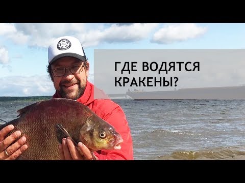 Где водятся Кракены? Лещ на Рыбинском водохранилище