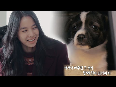 [4회 예고] <strong>반려견이</strong> 될 유기견들의 새 가족 맞이 <strong>준비</strong> 시작!ㅣ어바웃펫 어쩌다 마주친 그 개(accidentdog)ㅣSBS Story