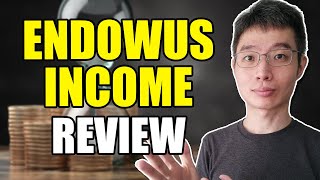 Reviewing Endowus Income Portfolios | Watch This Before Using!