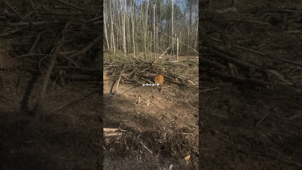 This is so the truth! 2026 new show! New Living Luckey! 