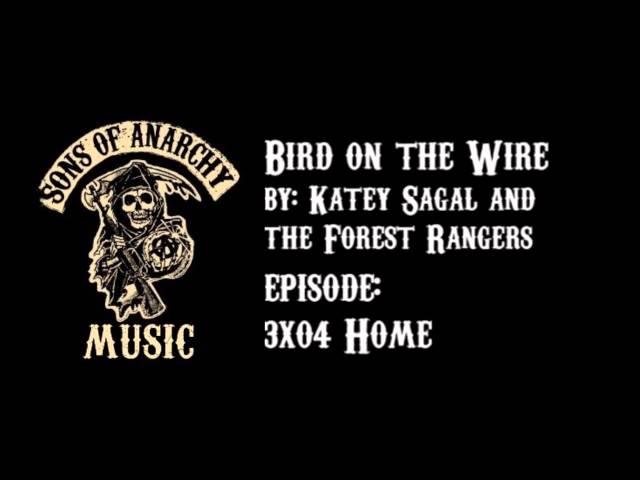 Ania - Bird On The Wire, Katey Sagal & The Forest Rangers