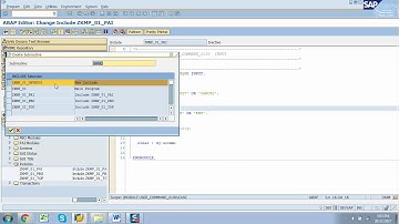 SAP ABAP Module Pool Program with Radio button list box