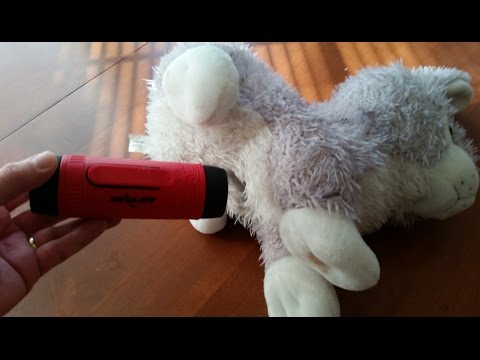 bebop jazz Review of Zealot S1 Wireless Bluetooth Speaker