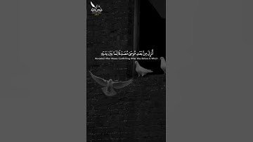 القران الكريم -  سورة الأحقاف