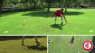 6. Multi-directional movement - Beginner