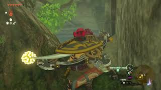 TotK072 Forgotten Temple Made Easy & The Dragon's Tears Questline Guide