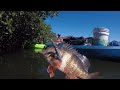 PESCA de PARGOS en Topolobampo_KAYAKS#Arpon#