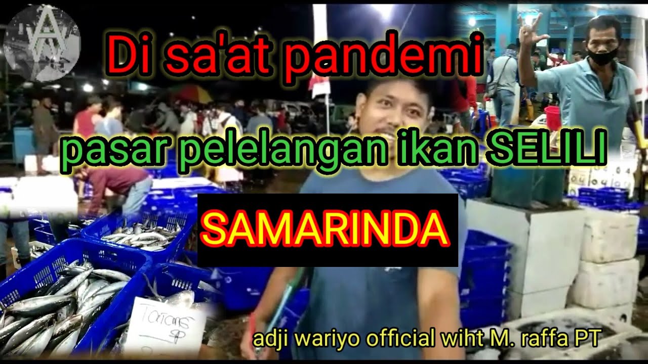 #Aji wariyo #Pasarselili #PPI Pusat Pelelangan ikan terbaik Pasar Selili || Samarinda