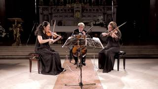 Gideon Klein String Trio: I by Trio Quodlibet 467 views 4 years ago 2 minutes, 29 seconds