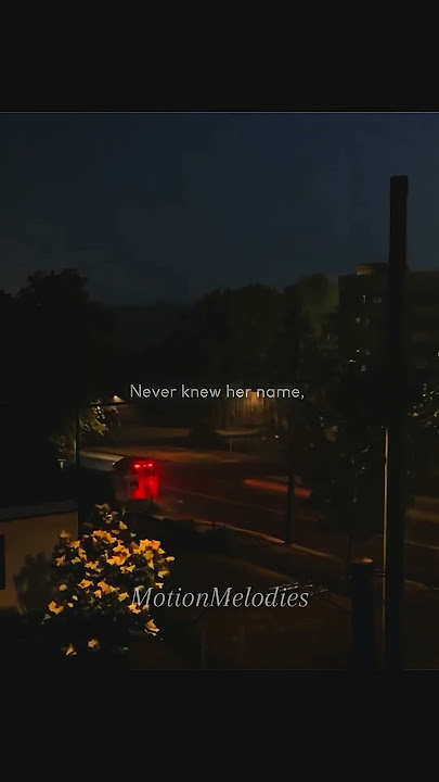 Tumblr Girl - G- Eazy | Whatsapp status #lyrics #edit #tumblrgirl #geazy #neverknewhername #reels