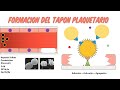 BQ Clínica 2025 - CT - Hemostasia