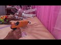 Middle of video