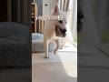 大型犬のスリッパ返却方法は…【ホワイトシェパード】　#shorts