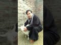 Jazz Cashmere Video 4