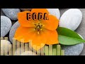 سبحان الله ماهر زين بدون موسيقي