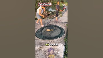 Ông Già Câu Cá Bằng Vịt Chết Và Cái Kết 😱