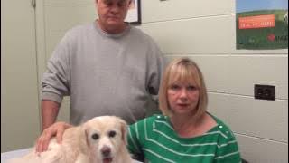 Becky & Sandy discuss Munchkin's care at IVSMO - Part 1