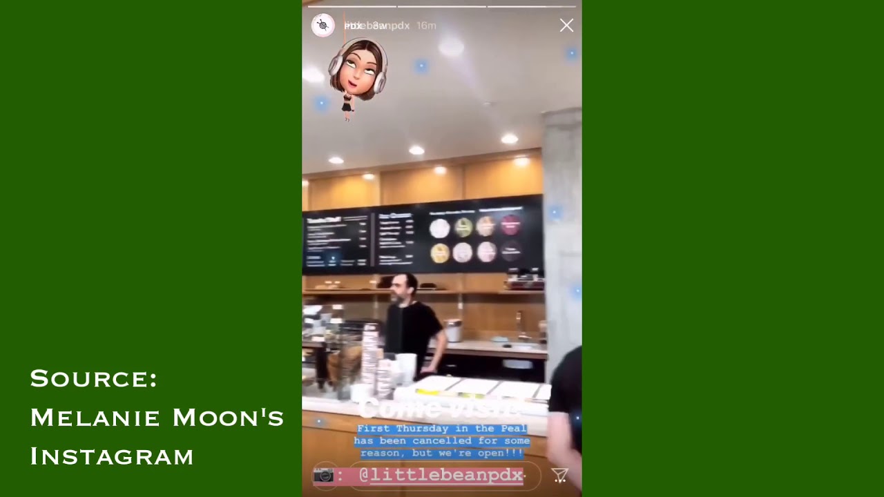 Melanie Moon and Family on Little Bean's Instagram Story YouTube