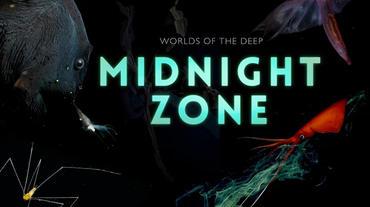 Into the Midnight Zone: Secrets of the Ocean Void