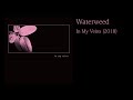 Waterweed - In My Veins