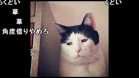 野獣先輩に見える画像を沢山重ねたら完璧な野獣先輩になる説