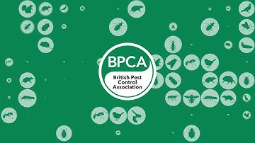 Pest management training with the British Pest Control Association