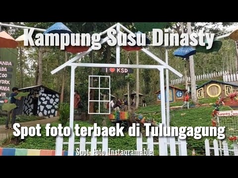 Kampung Susu Tulungagung Dinasty - Tempat Wisata & Edukasi Peternakan Sapi Perah