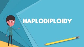What is Haplodiploidy? Explain Haplodiploidy, Define Haplodiploidy, Meaning of Haplodiploidy