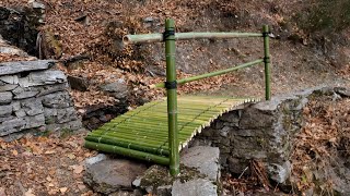 Building a bamboo bridge in Swizerland