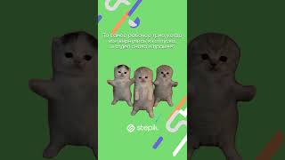 Ссылка на каталог в шапке профиля 👆🏻 А промокод ЛЕТО дает скидку 17% на любой курс Stepik!