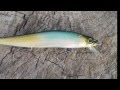 Megabass Vision One Ten 110SP and pike