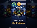 How the Internet Finds a Website in Seconds | DNS Explained#dns#internet#howinternetworks