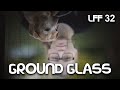 Large Format Friday: Ground Glass
