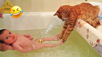 CATS: Totally Bonkers and Unpredictable Antics  😼 Funny Cat Videos 2025 😼 Try Not To Laugh😜 #4