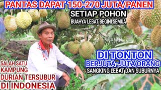 Kampung Durian Tersubur❗Meraup 150-270 Juta Setiap Panenya