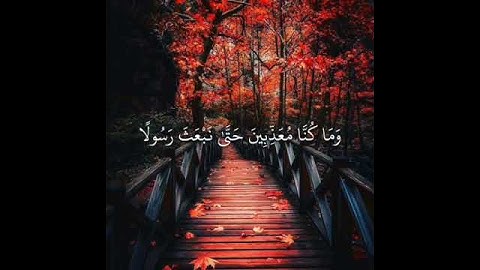 قرآن كريم بصوت سعد الغامدي 💌🔊 أجمل حالات واتس اب دينية مقاطع دينية قصيرة مقاطع انستقرام دينية