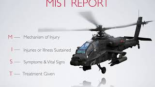 MIST Report