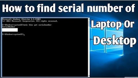 Find Your Dell Laptop Name, Product Number, or Serial Number | Dell laptop | @DellSupport