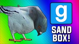 Gmod: Bird Simulator! (Garry's Mod Sandbox Funny Moments)