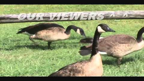 2010 Kavli Science Video Contest People