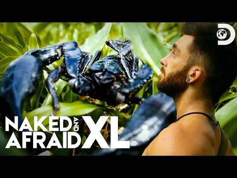 Scary Encounter with a Scorpion! | Naked and Afraid XL