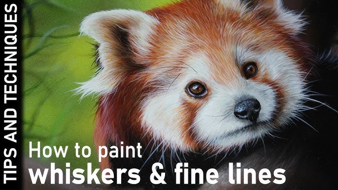 Best Brush to Paint Fine Lines in Watercolour 