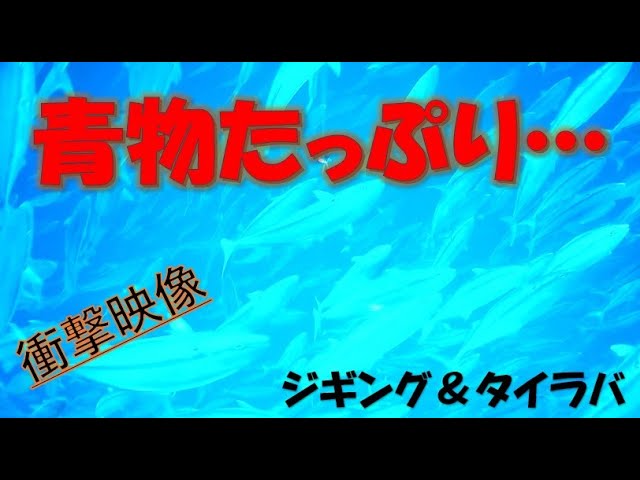 水中映像 衝撃映像 ジギング タイラバ 水中撮影 Youtube