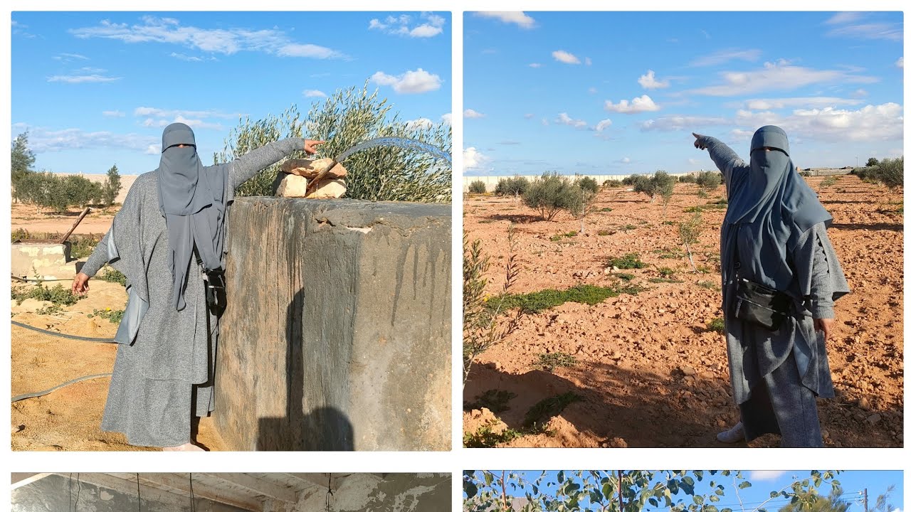 مزرعه 6 فدان للبيع بمرسى مطروح للإستفسار فون 01279135547