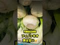 意外と知られていないイタリア野菜5選🇮🇹 #ベリッシモ #ベジタリアン料理 #イタリア料理