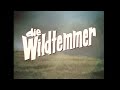 Die wildtemmer (1972) (SA Movie) (Beeld verhelder)