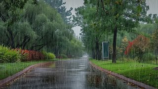 Gentle Rain in Lush Gardens: A Calm Walking Experience