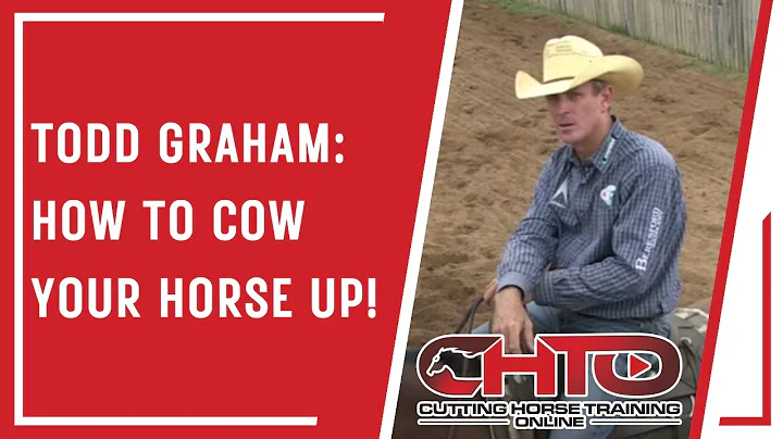 Todd Graham: How To Cow Your Horse Up!